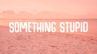 Jonas Blue - Something Stupid (Lyrics) ft. AWA Resimi