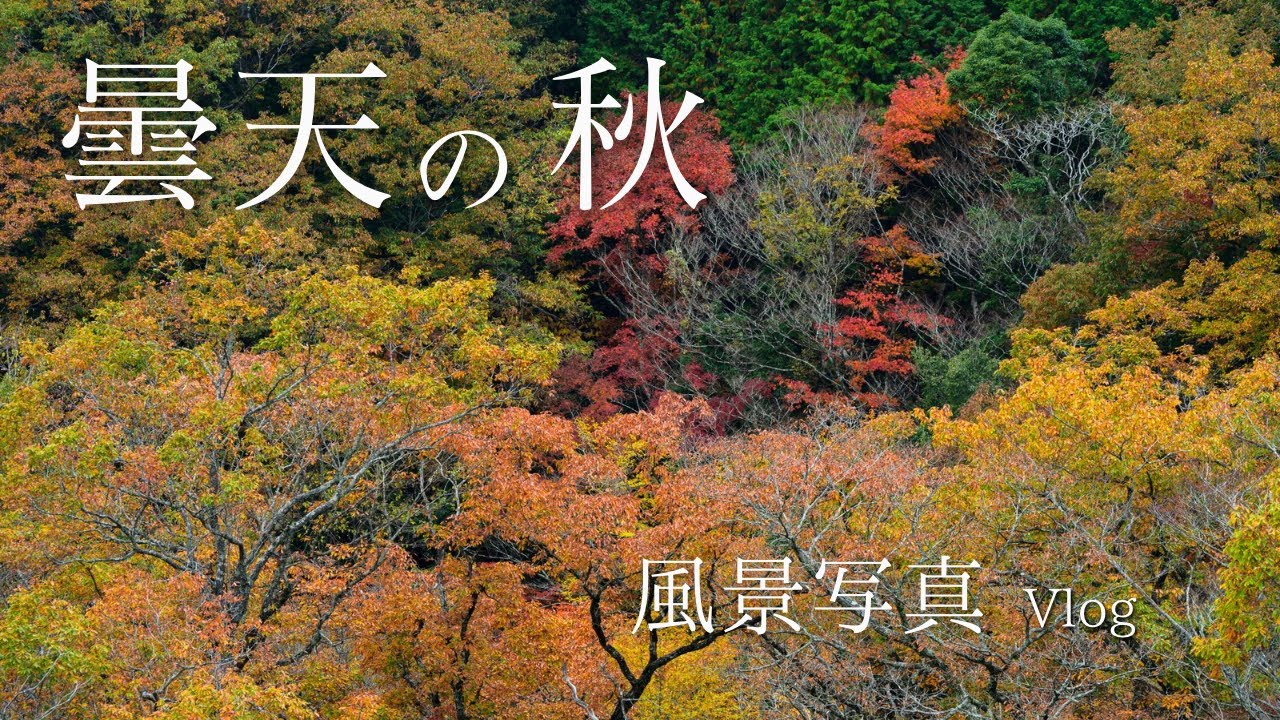 抽象的な自然風景写真 壁紙 美しい風景、川、森、滝、山 1920x1200 無料のデスクトップ