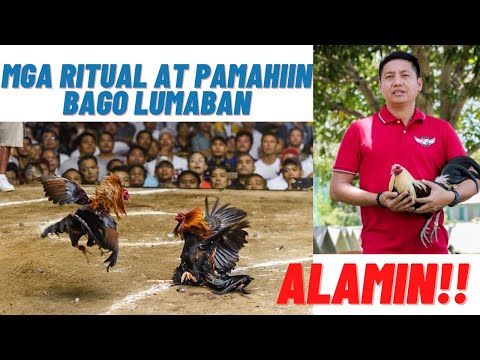 Sabong Tips: Mga Ritual At Pamahiin Na Pwedeng Makatulong Para Manalo