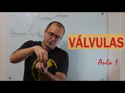 Vídeo: A válvula de eclusa e a válvula de gaveta são iguais?