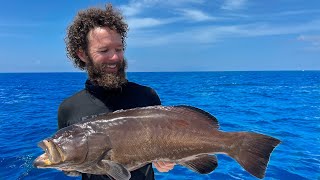 Only Taking What We Need | Black Grouper | Spear Clean Cook