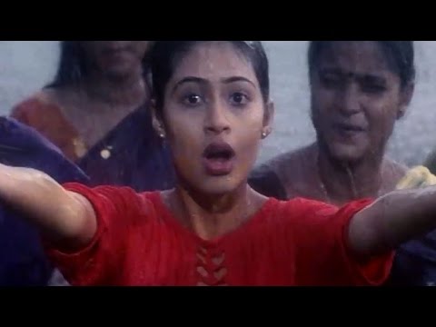 Naaga Movie Video Songs || Megham Karigenu Video Song || Jr.NTR , Sada