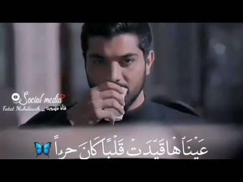 سريال آقازاده  مسلسل ابناء السادات حامد وراضيه