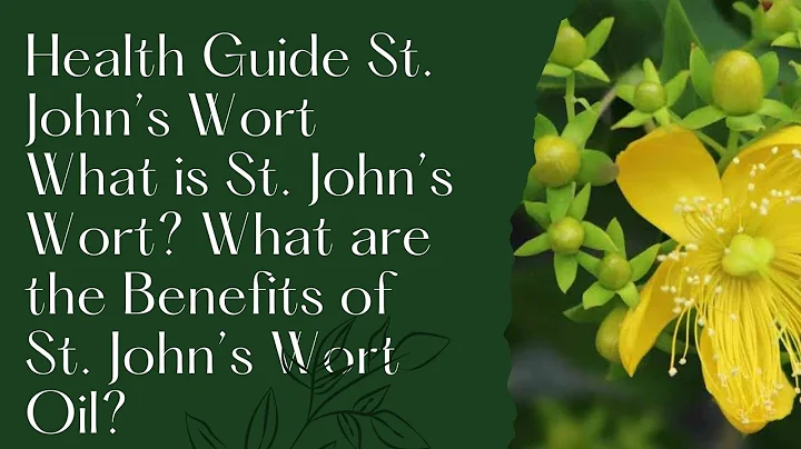 Health Guide St. John’s Wort What is St. John’s Wort? - DayDayNews