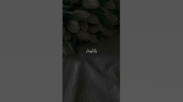 الأية 69 من سورة الزمر 🎧