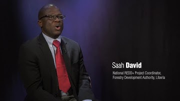 Putting people at the centre of Liberia’s REDD+ Strategy