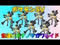ポケモンSV 激レア色違いレイド 色違いスナノケガワ　#ポケモン #配布 #色違いレイド #shorts