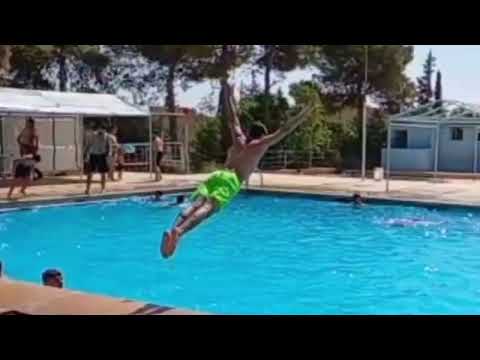 هذا شاهين طير حر 