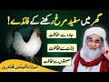 Islamic question answer ghr main sufaid murgh rkhna kesa  maulana ilyas qadri madni tv urdu