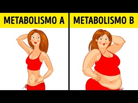 Vídeo: Dieta Metabólica: Menú, Reseñas, Resultados, Consejos