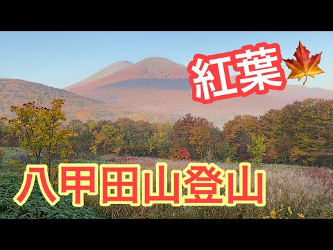 登山⑦　紅葉の八甲田山登山　aomori, mountains, trekking