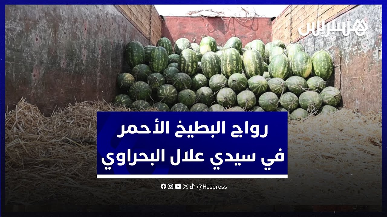 رواج البطيخ الأحمر في سيدي علال البحراوي.. تجار الجملة يكشفون حقيقة انتشار مرض يصيب 