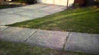 DSCI0460.AVI