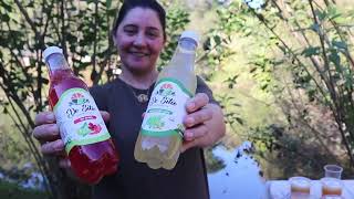 Safra de citros colore os pomares, fortalece a renda e...