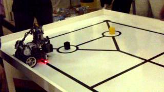 Robot Van Gogh - WRO 2012