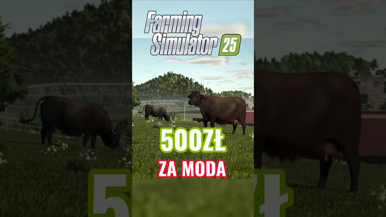 Chciał 500ZŁ za MODA 💰💰 — Transcript