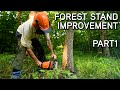 Forest stand improvement with dr craig harper live seminar  part 1