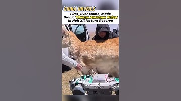 China Unveils First-Ever Home-Made Bionic Tibetan #Antelope Robot In Hoh Xil Nature Reserve #xizang