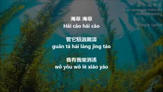 Xiao Xuan - Hai Chao Wu Pinyin Lyrics (蕭全-海草舞)