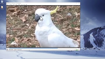 Zoom in and out when recording your computer screen by using OBS Studio