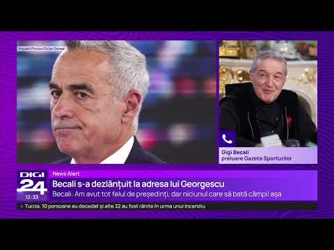 Ideile lui Călin