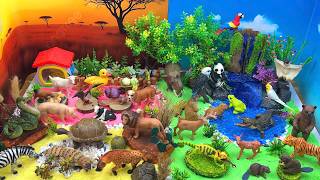 Learn Animal Names for Kids | 🌈 Farm & Wild Animal World for Toddlers