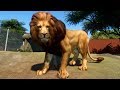 Planet Zoo - West African Lion Gameplay (PC HD) [1080p60FPS]