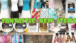 COME WITH ME TO A PHENOMENAL DOLLAR TREE | LOTS OF NEW ITEMS: June 26