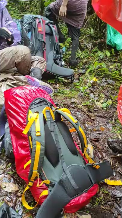 Di serang Pacet, kaki penuh dengan  puluhan pacet