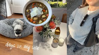 make soup with me, what I'm reading, dry skincare favs (vlog)