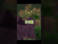 マンハント中に決まった着地３選！Part4【Minecraft】 #shorts #マイクラ