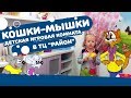 Детская игровая комната Кошки-Мышки в ТЦ район