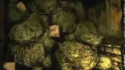 Amnesia part 8 Lost in the Storage