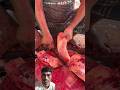 Amazing Big Shilvar Fish Cutting Skills In Gazipur Market Delhi #shortvideo #fish #rrrm