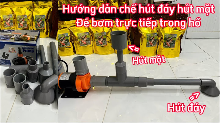 Hướng dẫn làm lọc đáy bể cá Informational, Transactional năm 2024