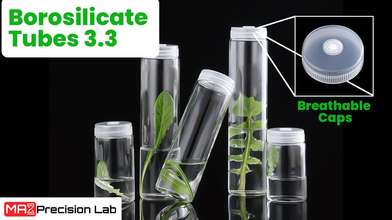 Borosilicate Tubes 3.3 (English)