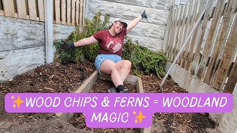 🌿 Creating a Woodland Garden | Planting Ferns, Path Making & Wood Chipping | August Bank Holiday