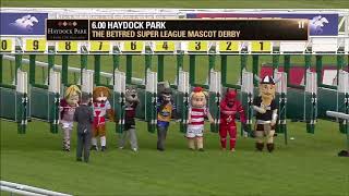 Mascot Race for Rugby at the Races day