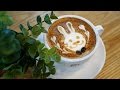 Bunny #2 :: Latte Art