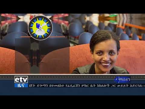 EBC የብሄራዊ ምርጫ ቦርድ ሰብሳቢ ሆነው የተመረጡት የወ ሪት ብርቱካን አጭር ግለጠታሪክ