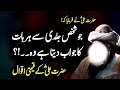 حضرت محمد صلی اللہ علیہ وسلم کی میٹھی میٹھی باتیں حضرت علی علیہ السلام کی اقوال زریں حضرت محمد صلی اللہ علیہ وسلم کی میٹھی میٹھی باتیں حضرت علی علیہ السلام کی اقوال زریں