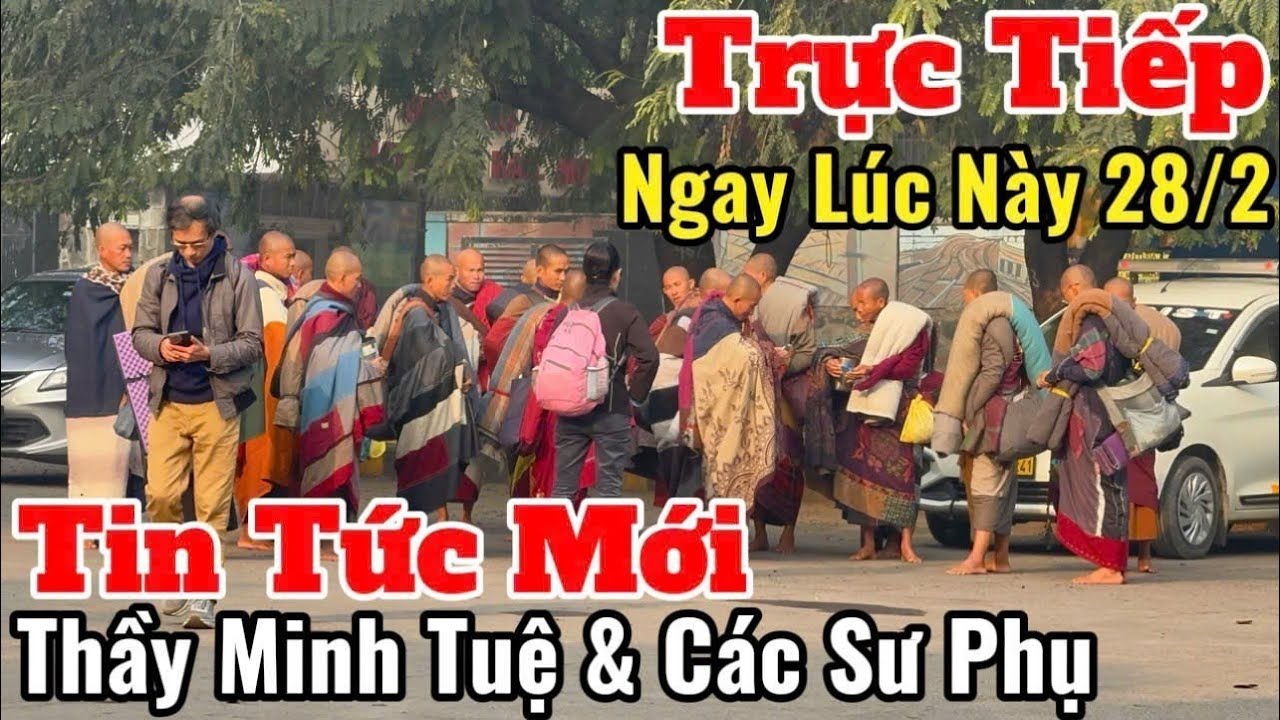 Trực Tiếp Tin Tức Mới Nhất Thầy Minh Tuệ & Các Sư Phụ Ngay Lúc Này 28/2 | Sự Thật Mãi Là Sự Thật