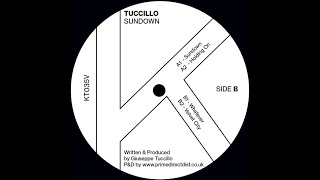 TUCCILLO - HOLDING ON [KAOZ THEORY]