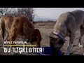 KANGAL AZAPI YENİ SEVGİLİSİYLE YEMEĞE ÇIKARDIM! - KIZ ARKADAŞI KAFASINI BOZDU