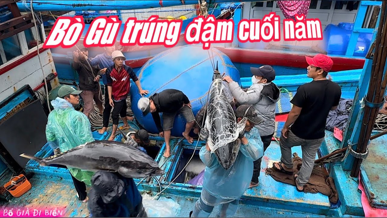 Игра Фу Йена о рыбалке на горбатых китов имела огромный успех в конце года.