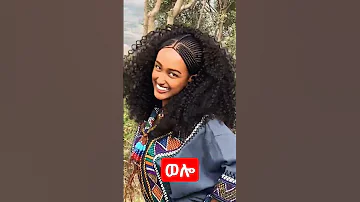 2024 Ethiopian Wollo Traditional Music And Dance The Ultimate Playlist 