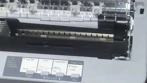 EPSON LQ 310 PAPER SIZE SETUP 100%WORK.