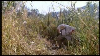 Yankee zulu 1993 (1) funny movie