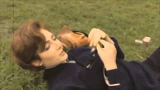 Deby Medrez Pier - Cyanide