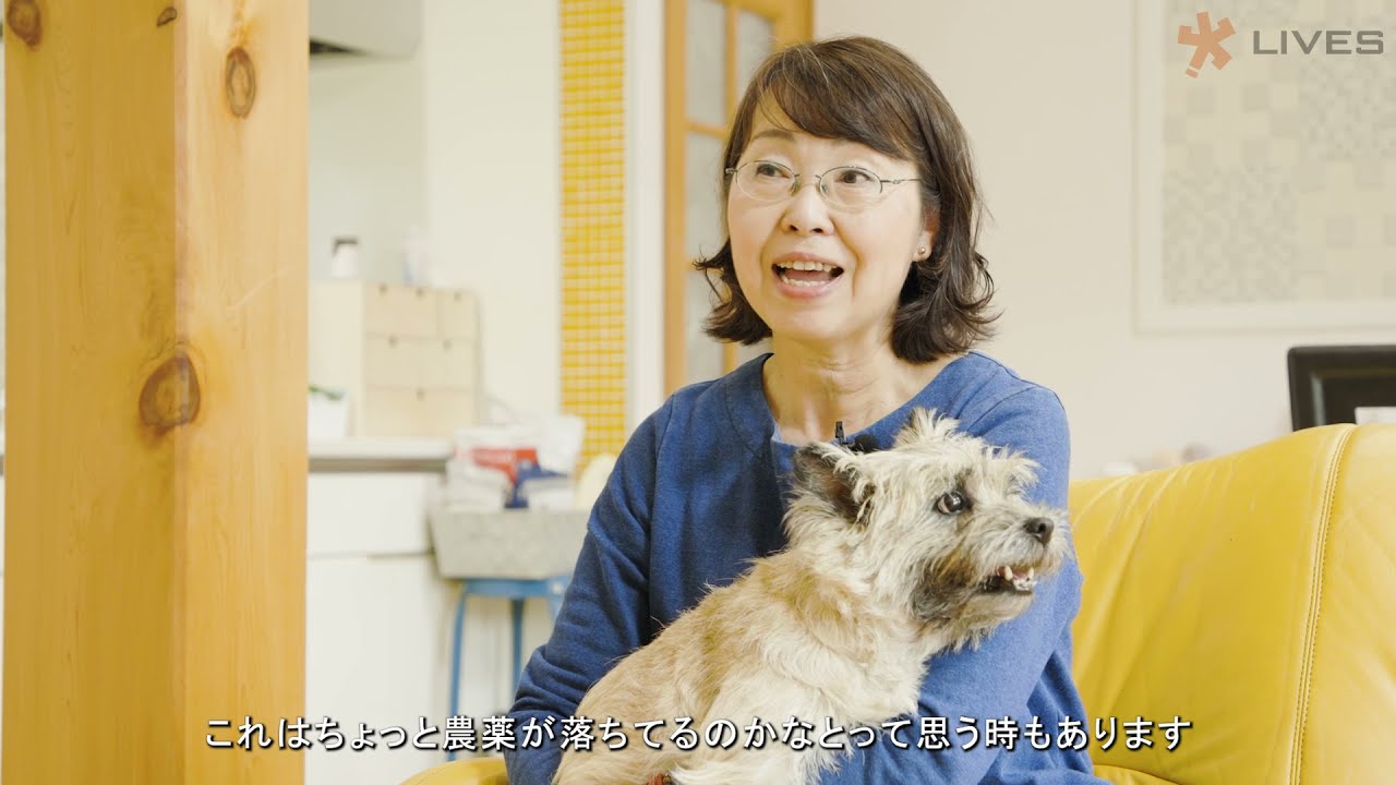 ご家庭
